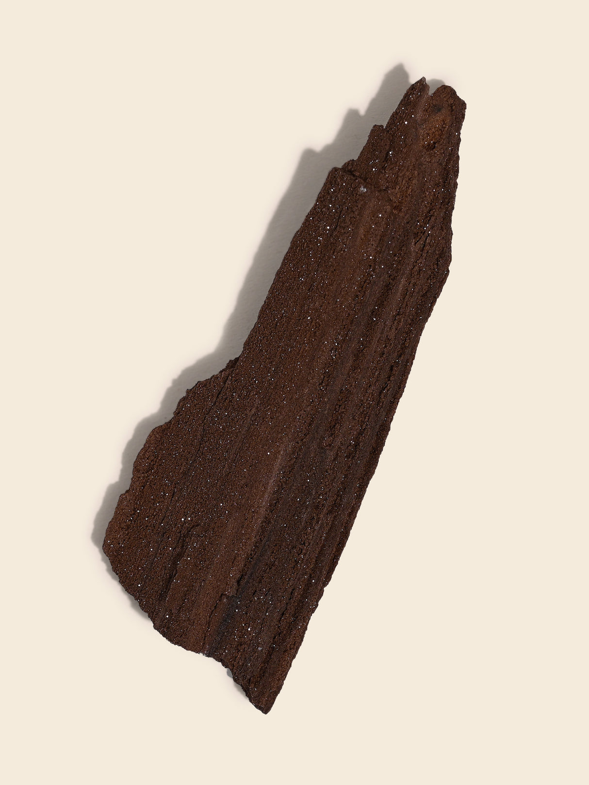 Permineralized Wood