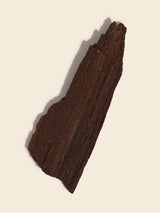 Permineralized Wood