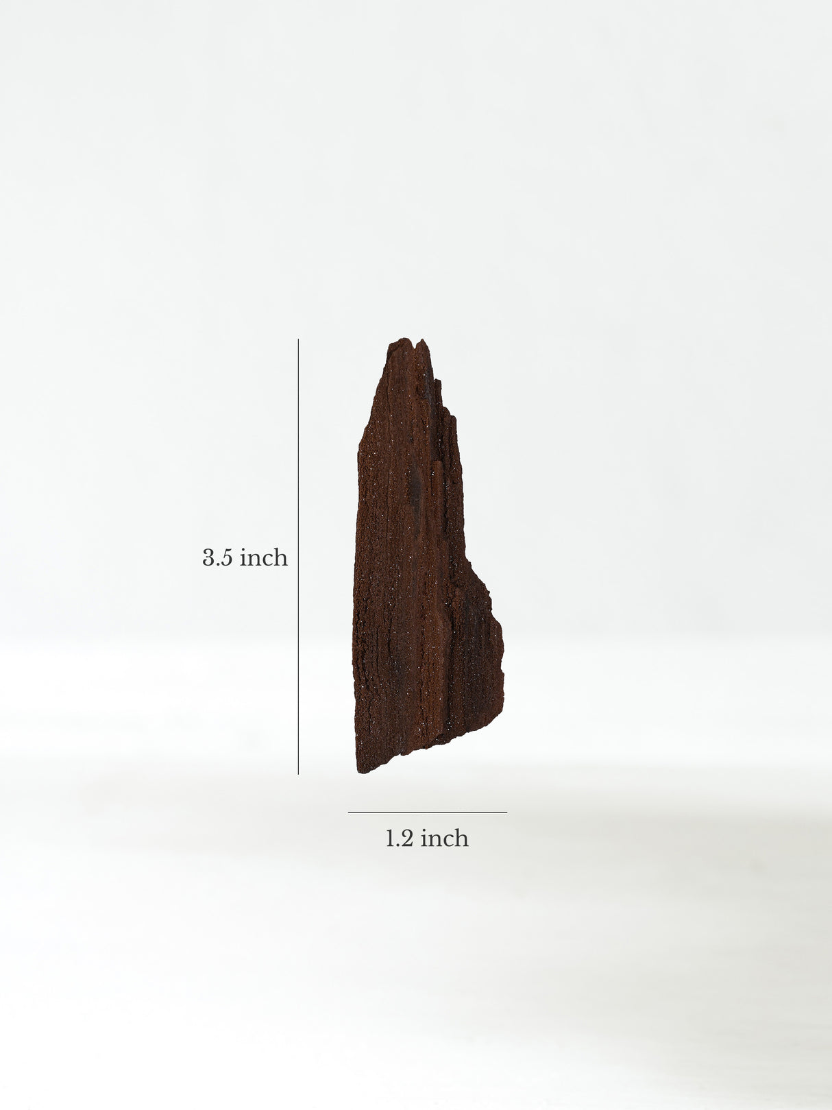 Permineralized Wood M Dimension | Cg1191