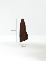 Permineralized Wood M Dimension | Cg1191