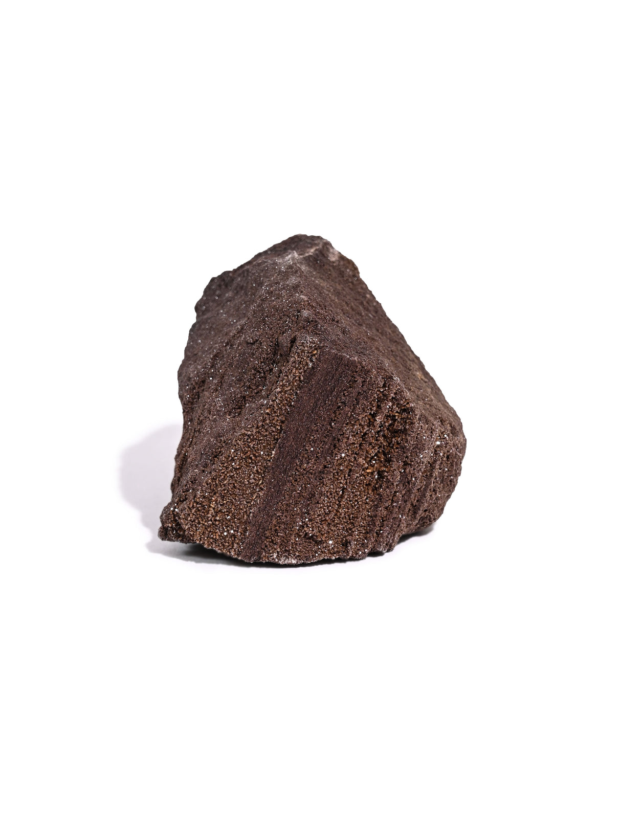 Permineralized Wood N | Cg1192