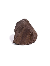 Permineralized Wood N | Cg1192