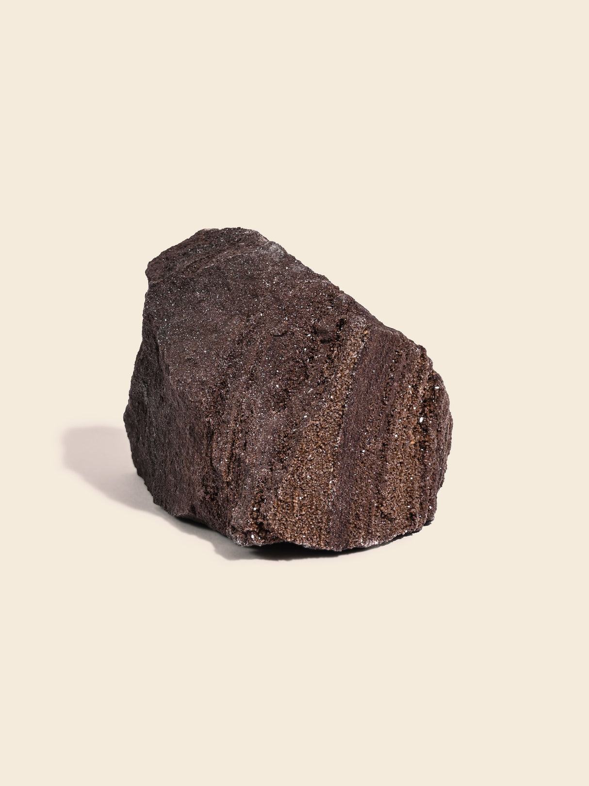 Permineralized Wood