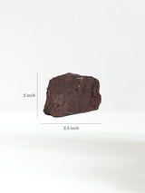 Permineralized Wood N Dimension | Cg1192