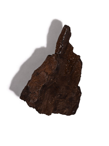 Permineralized Wood A | Cg1179