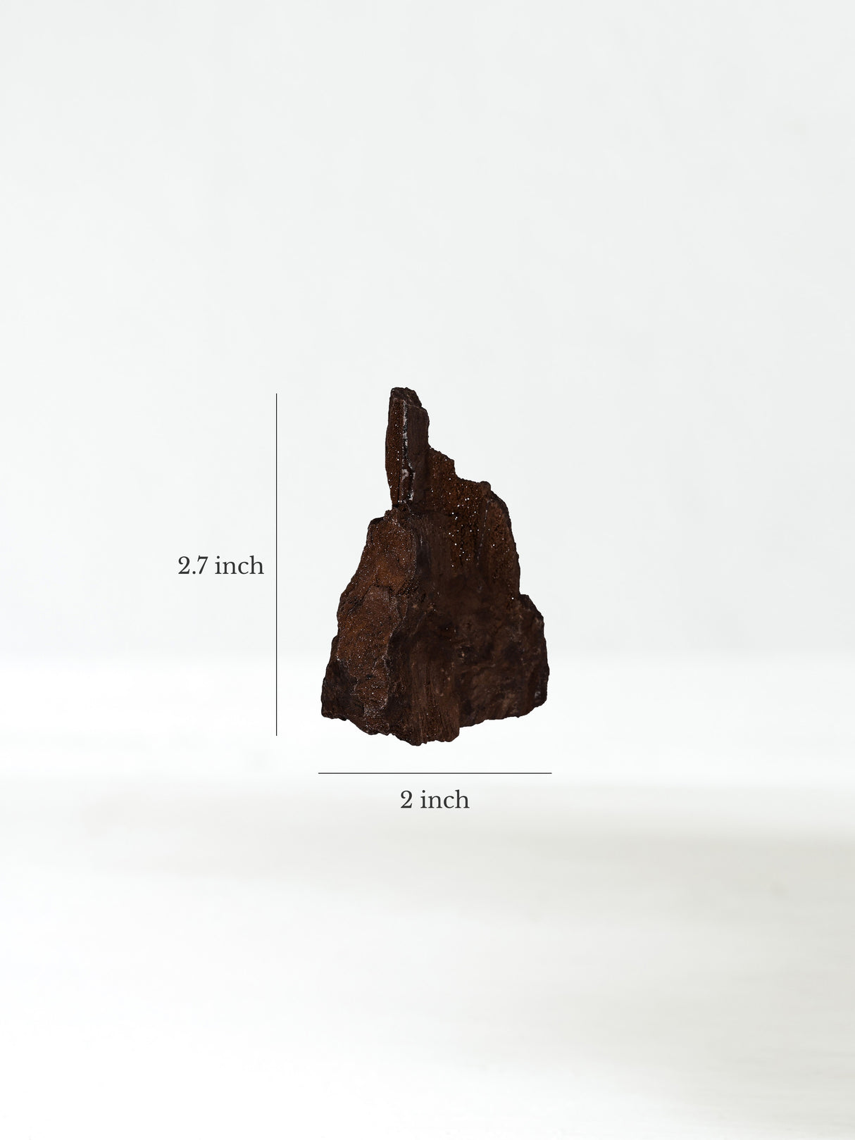 Permineralized Wood A Dimension | Cg1179