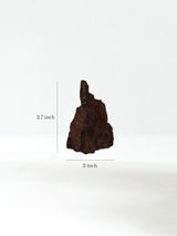 Permineralized Wood A Dimension | Cg1179