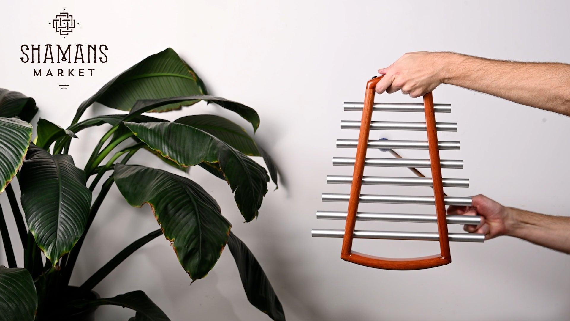 Tubalophone Video | mmtp7 Dhani