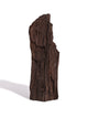 Permineralized Wood H Video | Cg1186