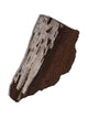 Permineralized Wood B Video | Cg1180