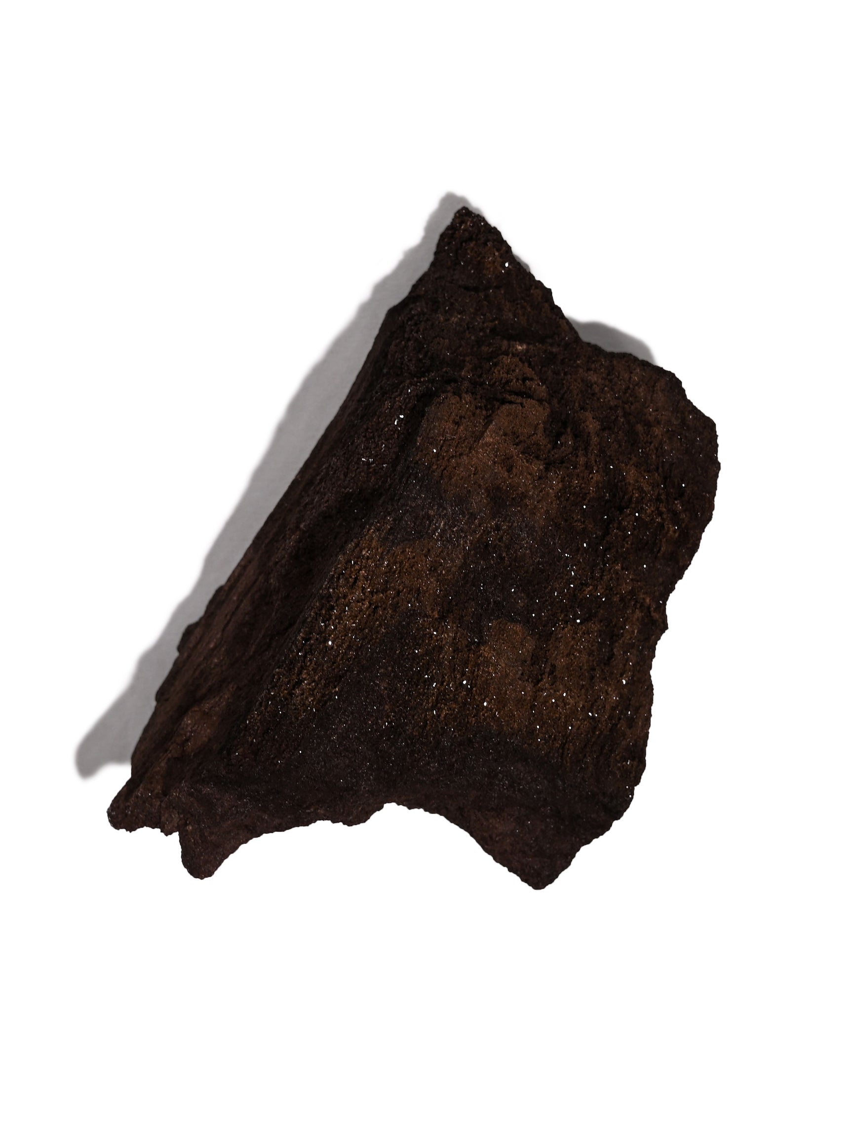 Permineralized Wood E Video | Cg1183