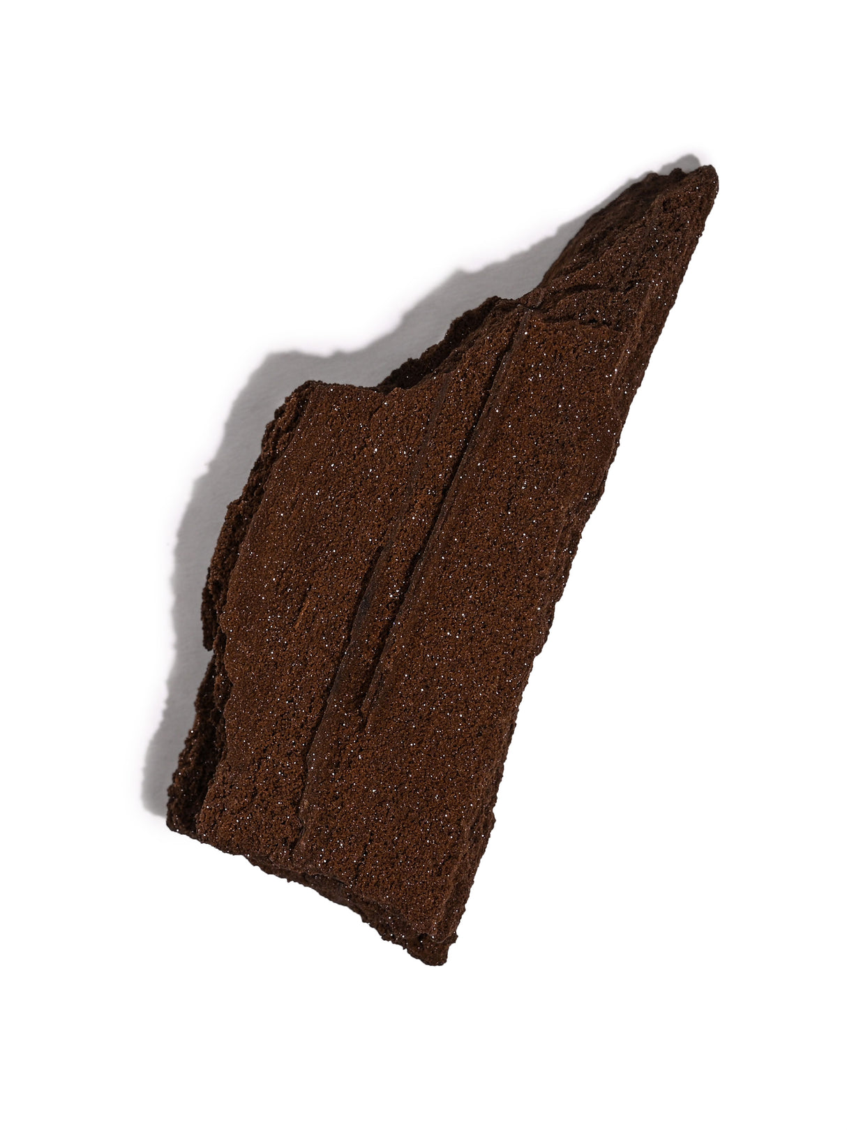 Permineralized Wood I Video | Cg1187