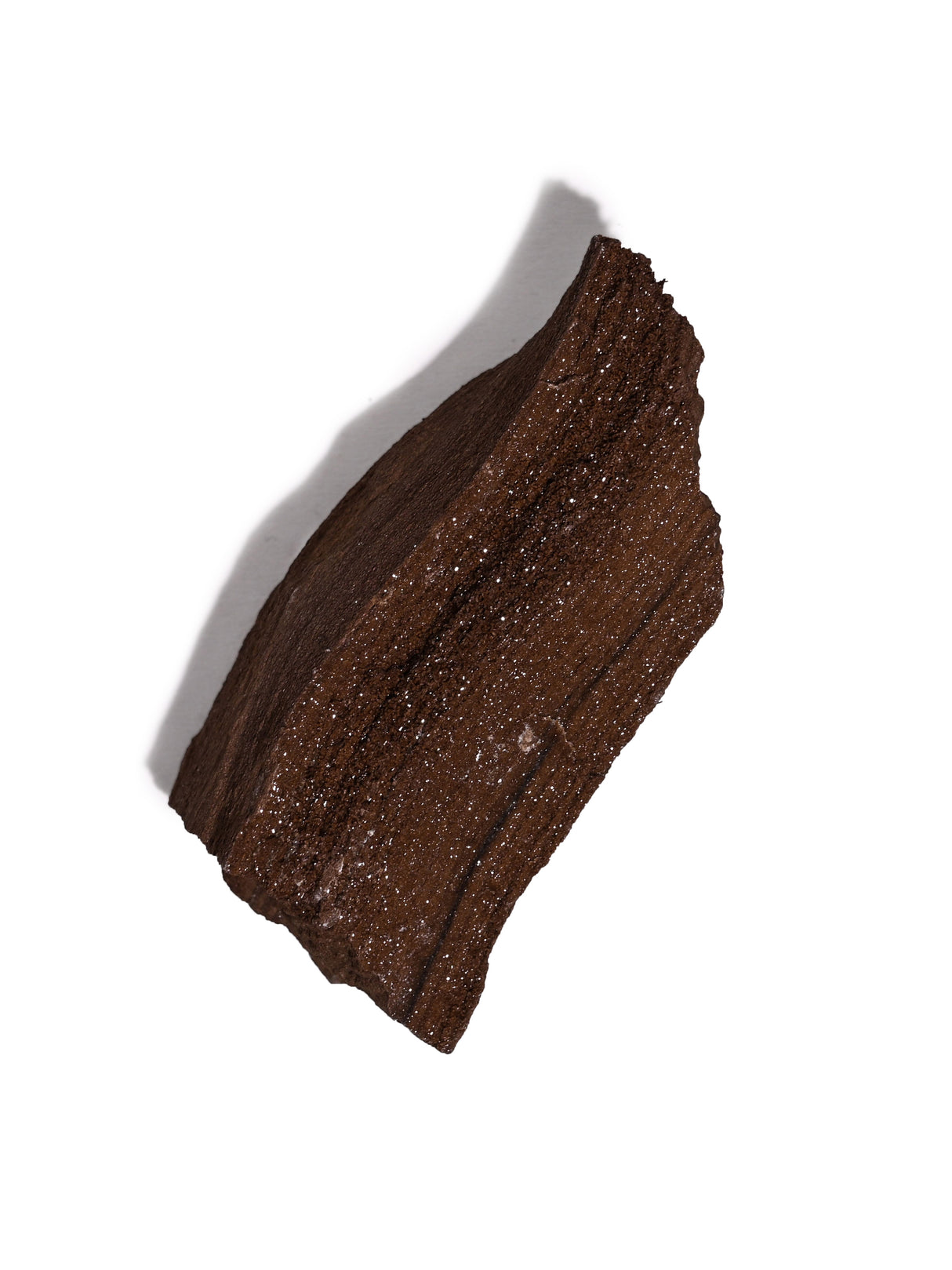 Permineralized Wood J Video | Cg1188