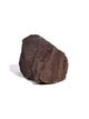 Permineralized Wood N Video | Cg1192