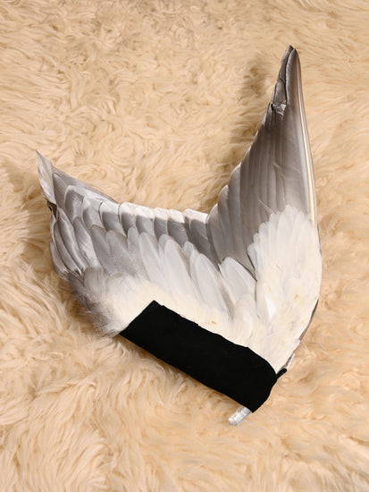 Sacred Flight Feather Fan | si0582