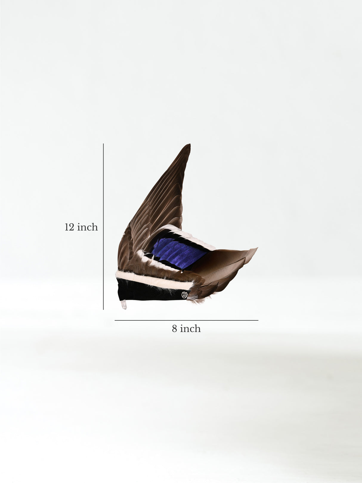 Sacred Flight Feather Fan Dimension | si0582