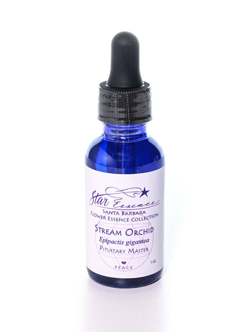 Stream Orchid Pituitary Master Flower Essence
