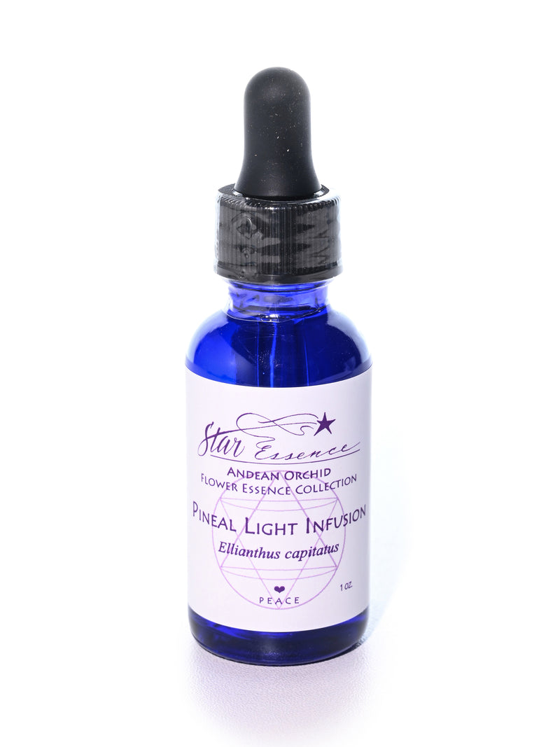 Pineal Light Infusion Flower Essence