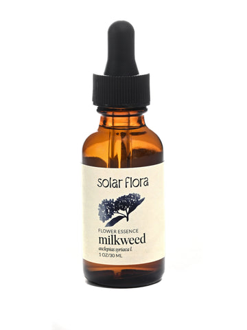 Flower Essence: Milkweed
