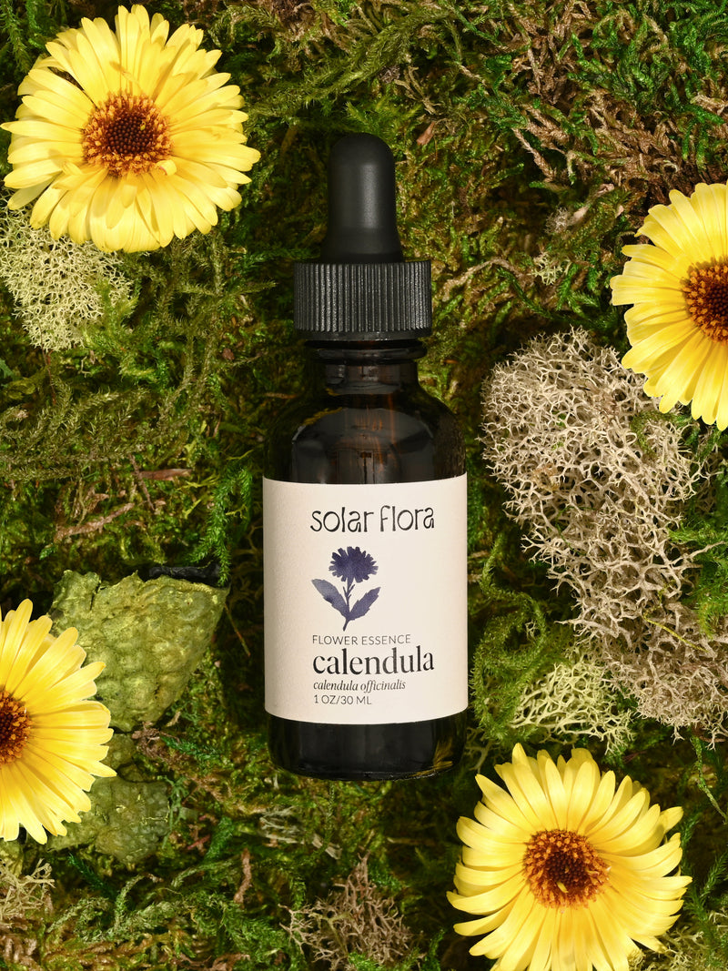 Flower Essence: Calendula