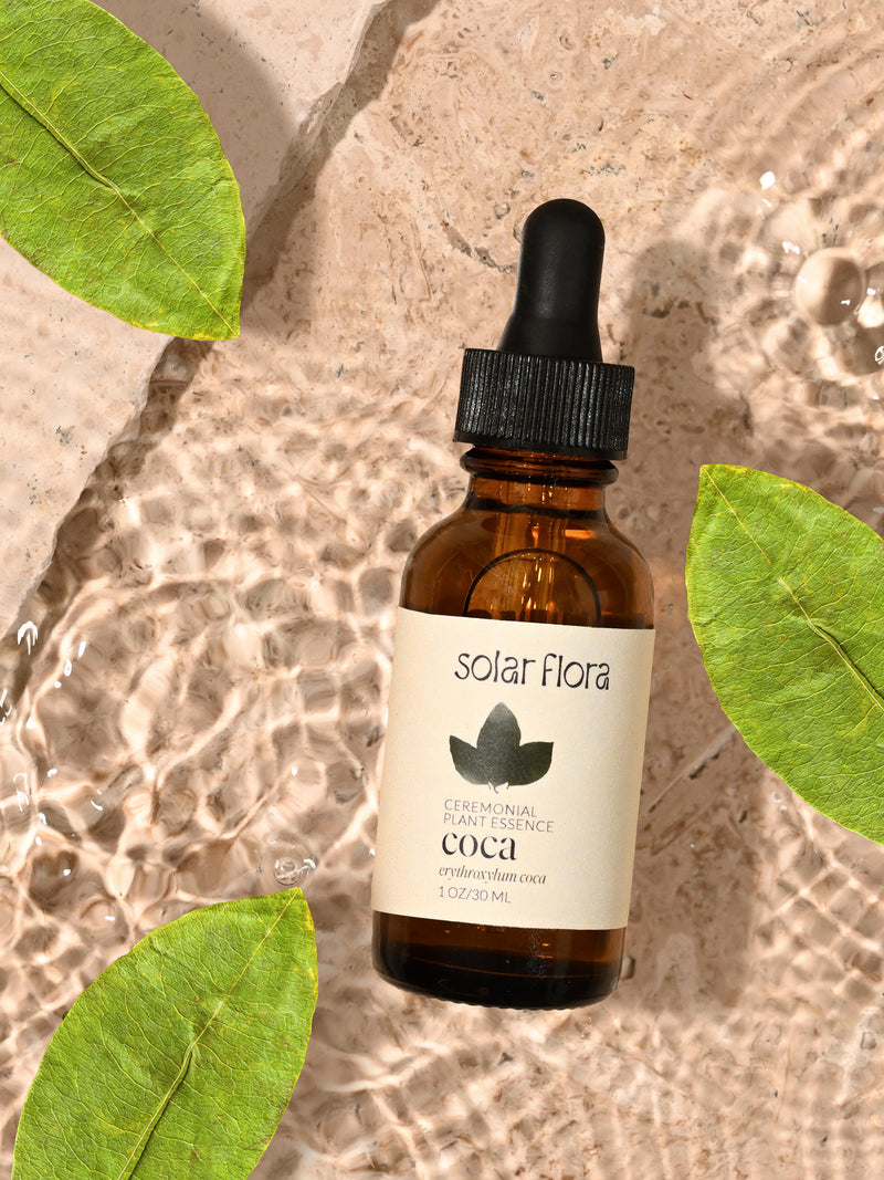 Ceremonial Plant Essence: Coca
