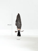 Sacred Prayer Feather Fan with Quartz - Black Handle Dimension | si0519-Black