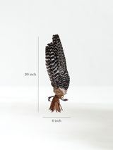 Sacred Prayer Feather Fan with Quartz Dimension | si0519-Brown