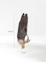 Sacred Prayer Feather Fan with Quartz Dimension | si0519-Narrow-Natural