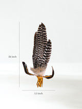 Sacred Prayer Feather Fan with Quartz Dimension | si0519-Tan