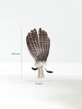 Sacred Prayer Feather Fan with Quartz Dimension | si0519-Stone
