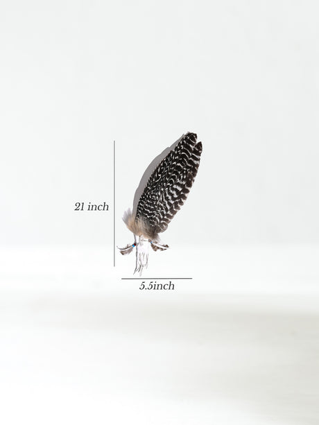 Sacred Prayer Feather Fan with Quartz Dimension | si0519-White