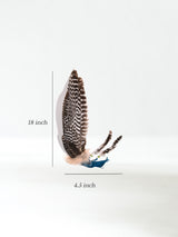 Sacred Prayer Feather Fan with Quartz Narrow Teal Dimension | si0519-Narrow-Teal