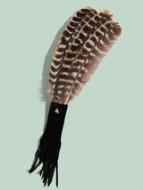 Medicine Man Prayer Fan