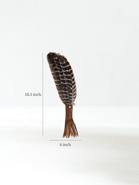 Medicine Man Prayer Fan - Chocolate Dimension | si0575-Chocolate