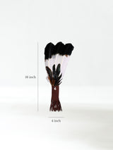 Medicine Man Prayer Fan Dimension | si0575-Chocolate-Dark-Tipped