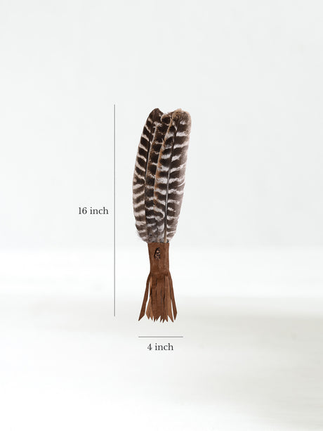 Medicine Man Prayer Fan Dimension | si0575-Chocolate