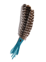 Medicine Man Prayer Fan