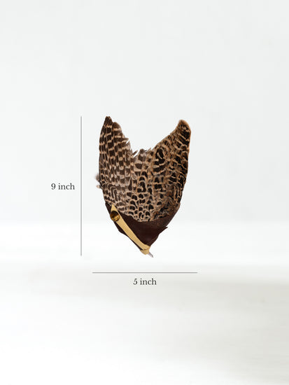 Sacred Flight Feather Fan Dimension | si0579