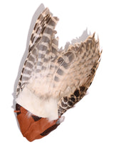 Sacred Flight Feather Fan - Pluma 1 | si0581