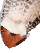 Sacred Flight Feather Fan - Pluma 2 | si0581