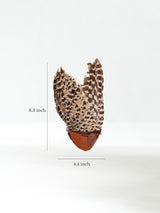 Sacred Flight Feather Fan - Pluma Dimension | si0581