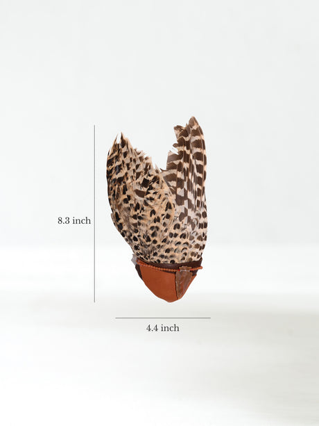 Sacred Flight Feather Fan - Pluma Dimension | si0581