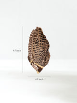 Sacred Flight Feather Fan - Halcyon Dimension | si0583