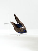 Sacred Flight Feather Fan - Aviora 3 | si0585