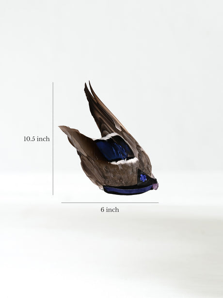 Sacred Flight Feather Fan - Aviora 3 | si0585