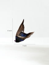 Sacred Flight Feather Fan - Sylphae 3 | si0586