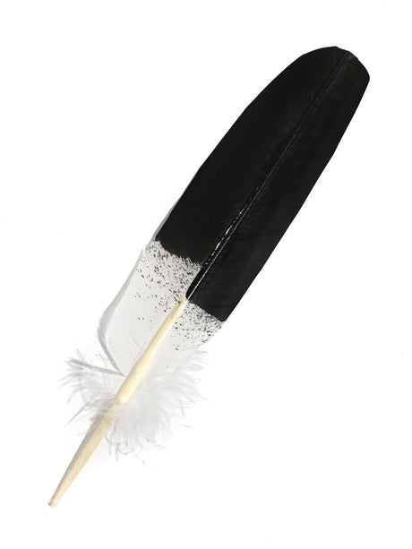 Painted Feathers Feather - Imitation Bald Eagle - Wing 2 | si10-003
