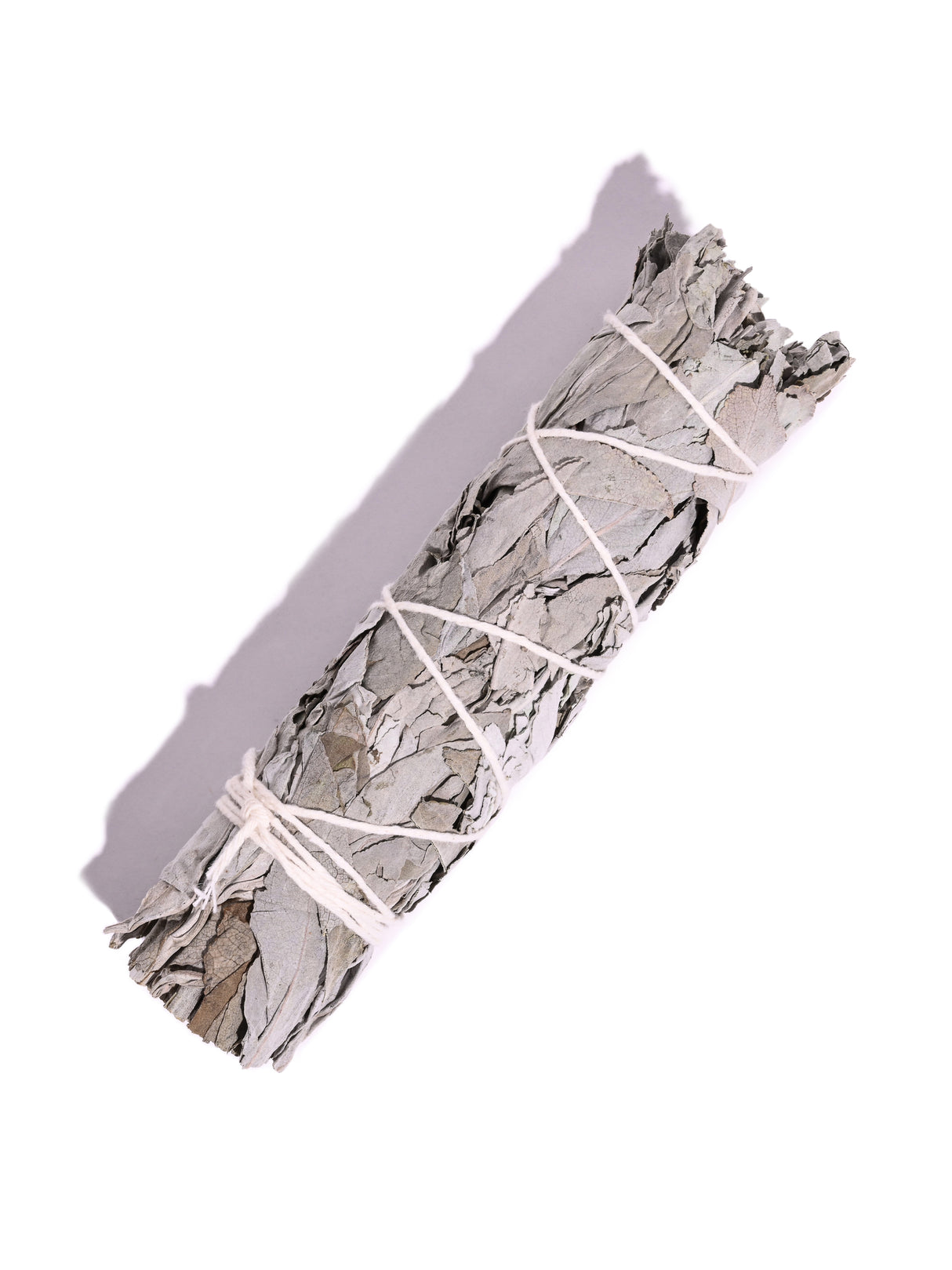 White Sage Native American Grown Smudge Sticks 2 | smg22