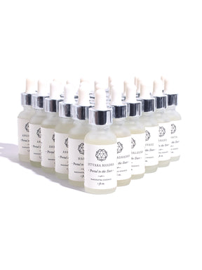Vedic Astrology - Nakshatra Essence Set | smk02