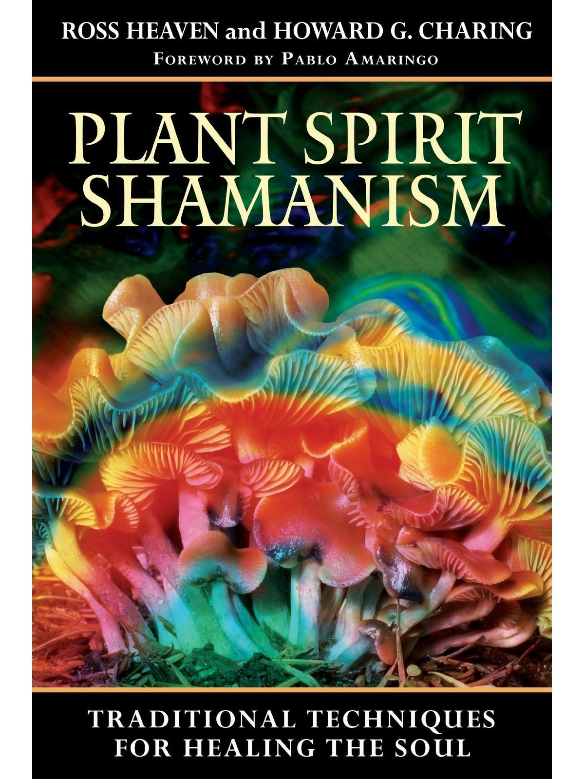 Plant Spirit Shamanism: Traditional Techniques for Healing the Soul